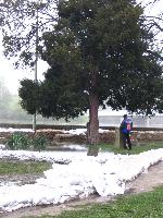 2006.04.21. - 1009 cm - 17.jpg